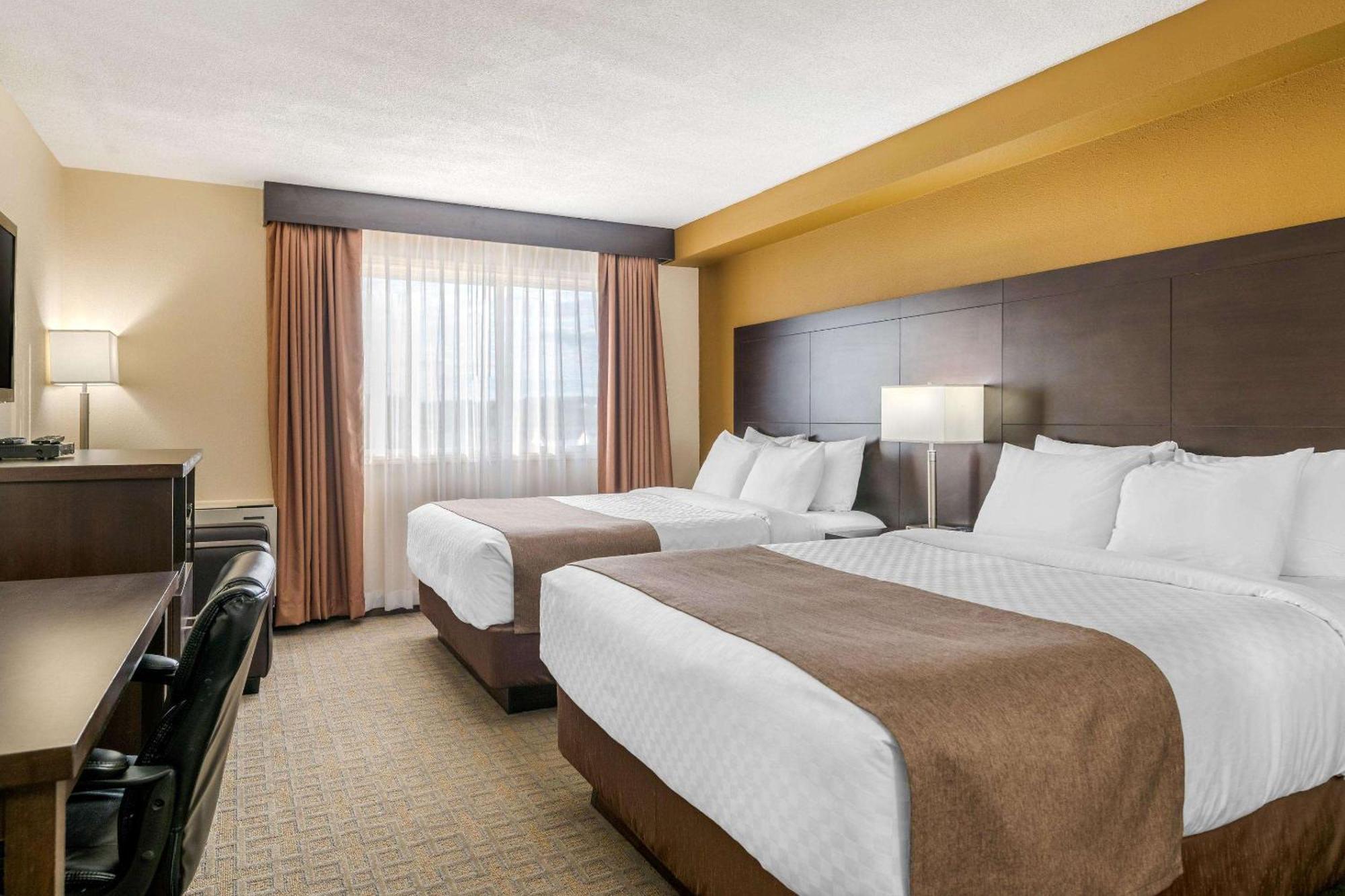 Quality Inn & Suites Bathurst Cameră foto